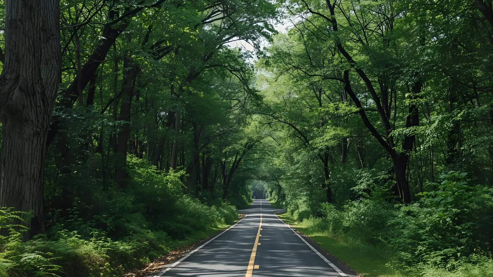 Easy Riddles for Kids